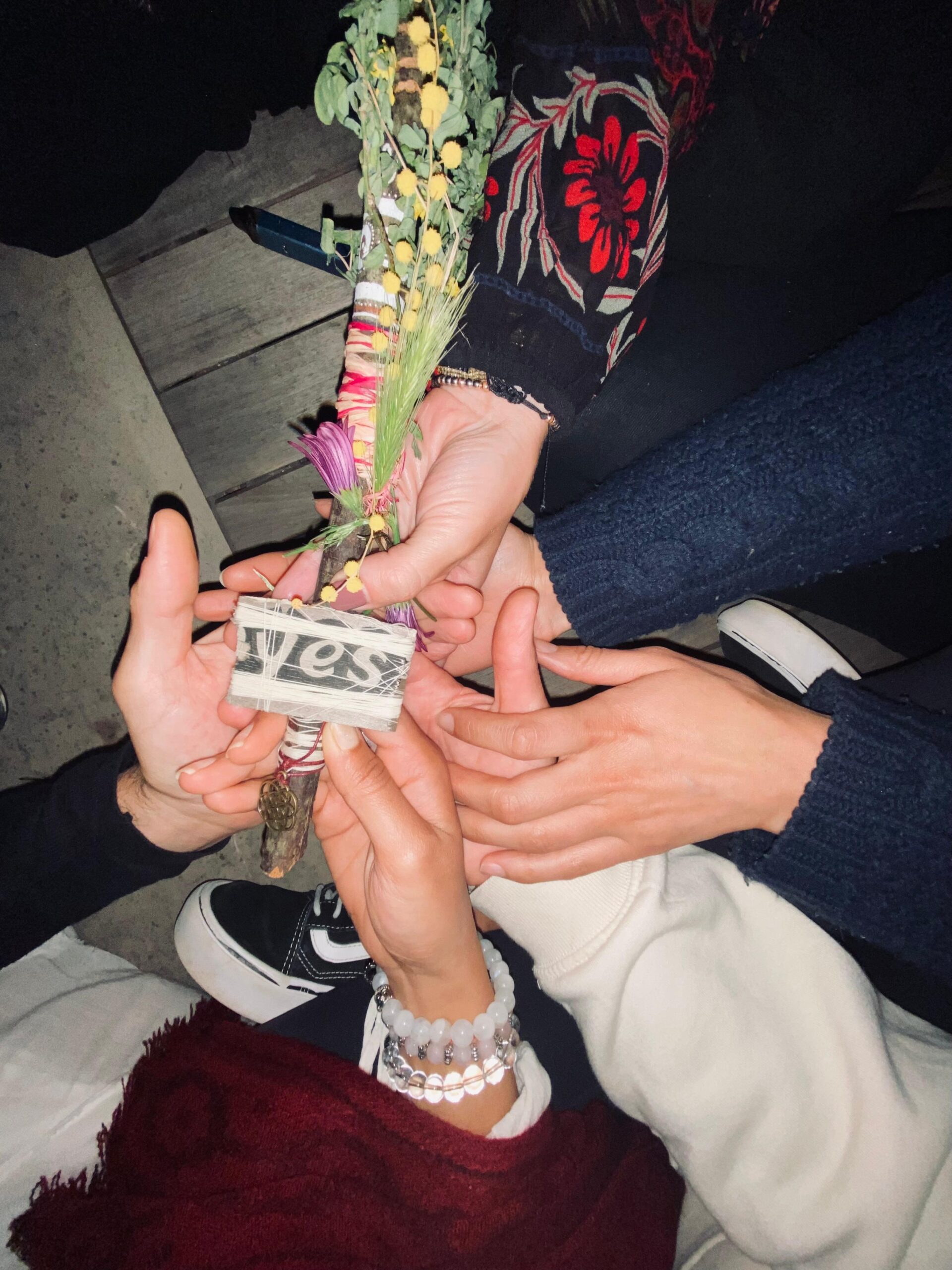 Somatic Yoga Retreat India