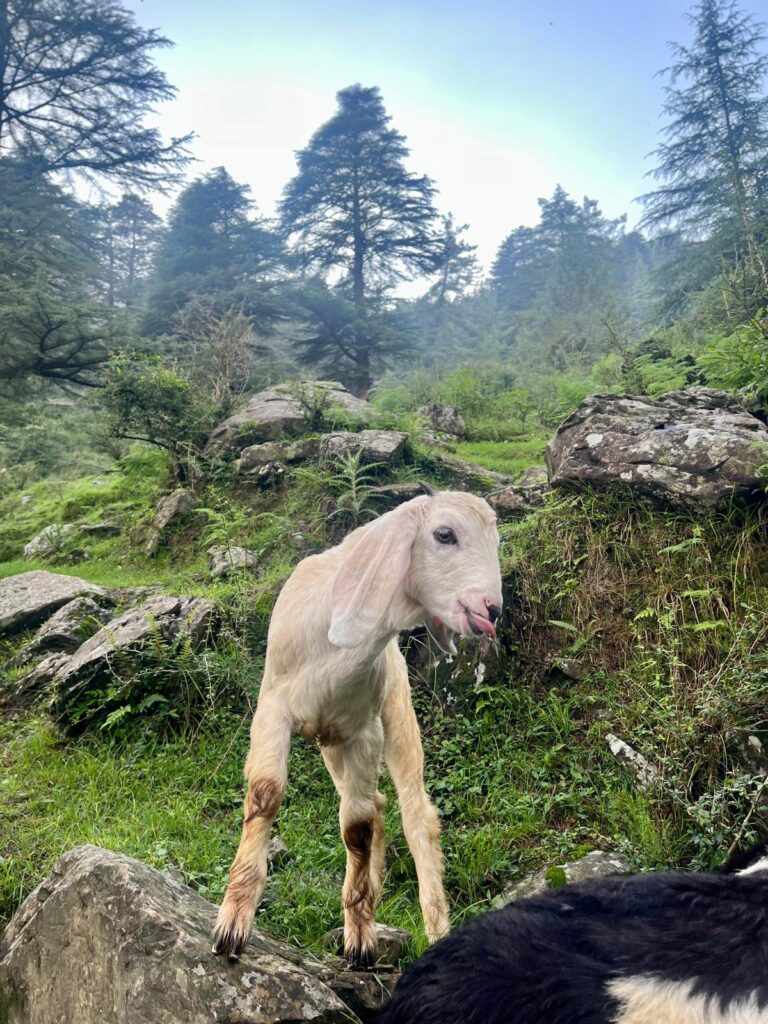 feminine energy