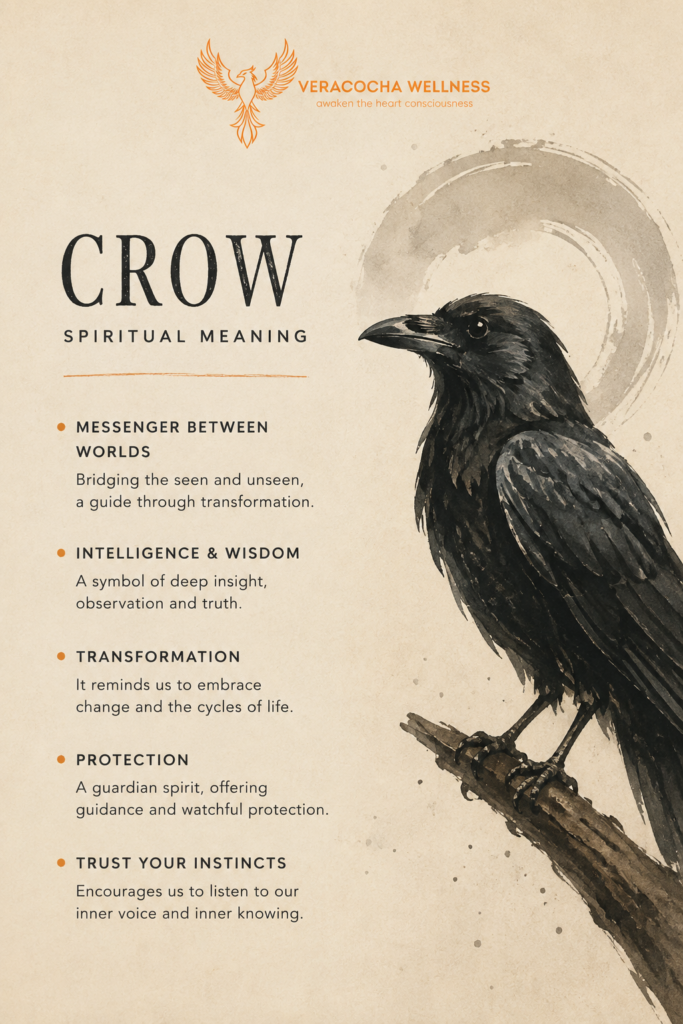 crow spiritual meaning