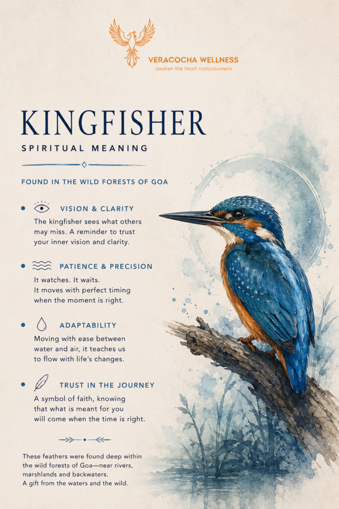 kingfisher spiritual meaning